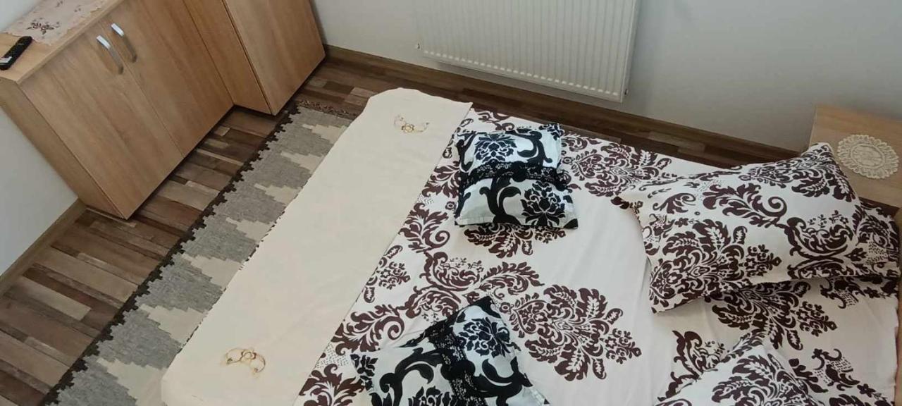 모이세이 Casuta Din Livada 빌라 외부 사진